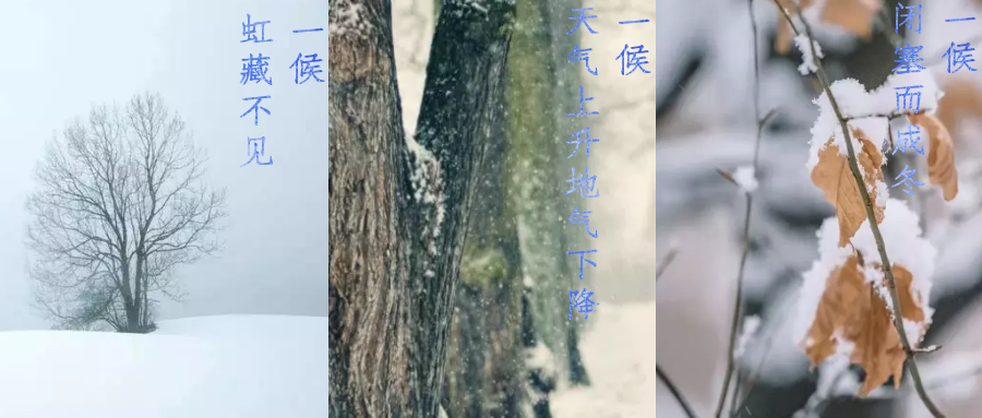 今日小雪，寒潮来袭，洗瓶机来帮你解放双手吧！